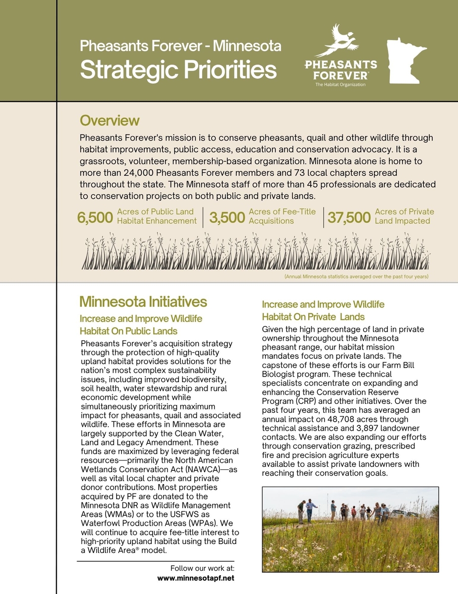 Strategic plan 2